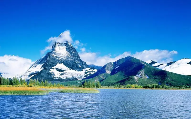 高端智慧制造自动化